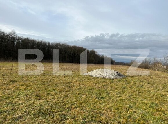 Teren de vânzare Sud - 104575TV | BLITZ Târgu Jiu | Poza1