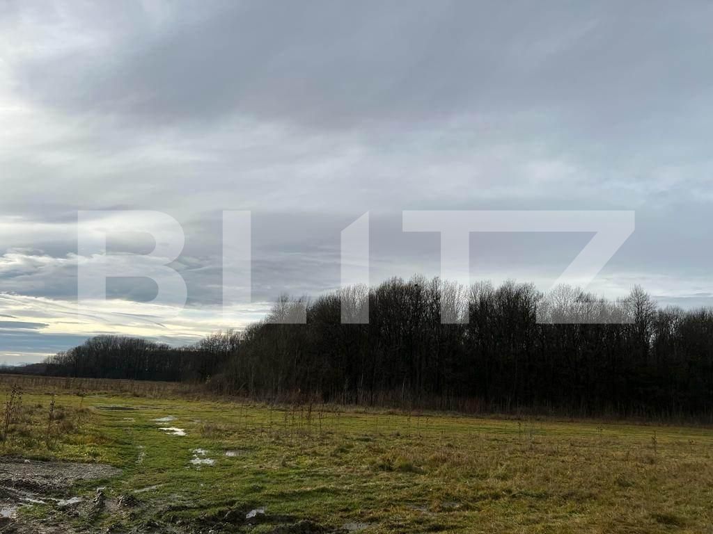 Teren de vânzare Sud - 104575TV | BLITZ Târgu Jiu | Poza2