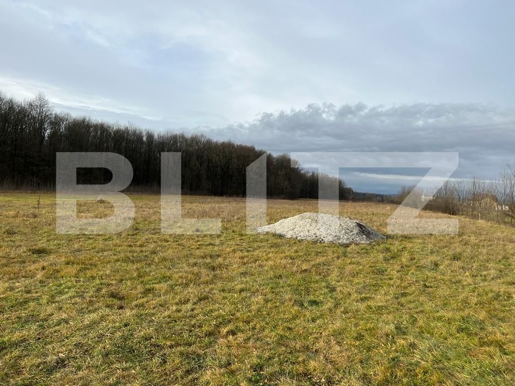 Teren de vânzare Sud - 104575TV | BLITZ Târgu Jiu | Poza1