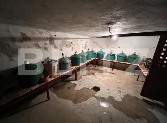 Casa de vânzare 6 camere Vest - 104580CV | BLITZ Târgu Jiu | Poza11