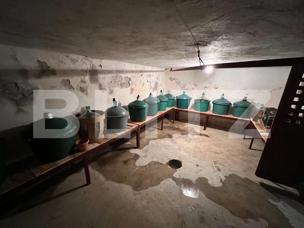 Casa de vânzare 6 camere Vest - 104580CV | BLITZ Târgu Jiu | Poza11