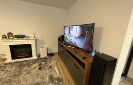 De vanzare casa moderna cu finisaje de lux, mobilata in zona  Runcu