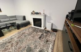 De vanzare casa moderna cu finisaje de lux, mobilata in zona  Runcu