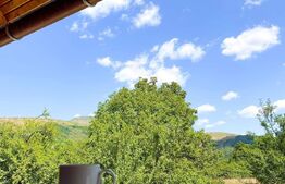 Pensiune 12 camere in Runcu-Gorj