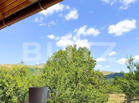 Casa de vânzare 12 camere Exterior Vest - 104881CV | BLITZ Târgu Jiu | Poza6