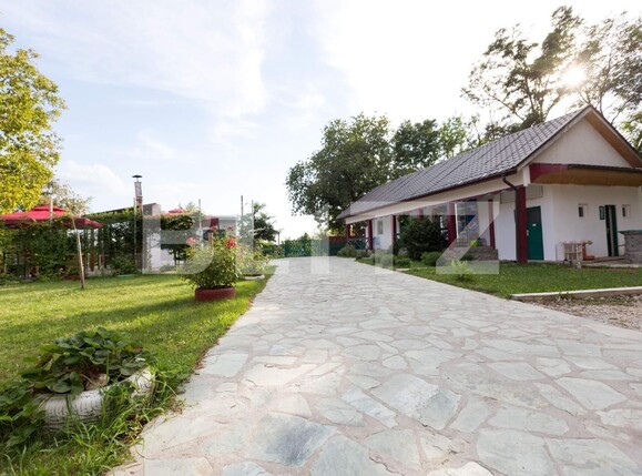 Casa de vânzare 12 camere Exterior Vest - 104881CV | BLITZ Târgu Jiu | Poza9