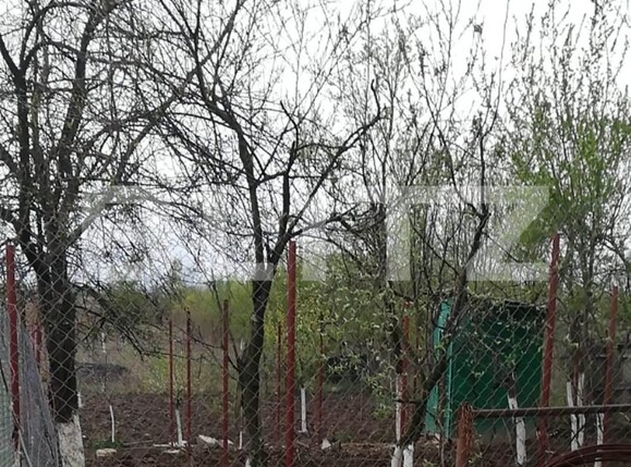 Casa de vânzare 5 camere Vest - 105002CV | BLITZ Târgu Jiu | Poza8