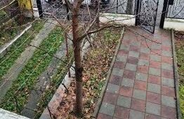 Casa in cartierul rezidential SISESTI Targu-Jiu