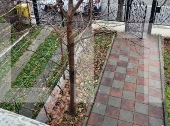 Casa de vânzare 5 camere Șișești - 105062CV | BLITZ Târgu Jiu | Poza5