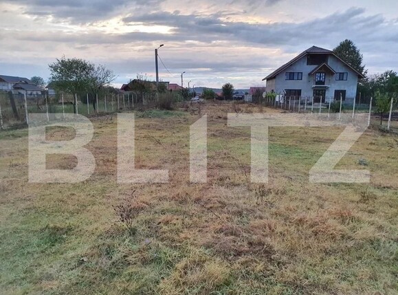 Teren de vânzare Sud Vest - 105158TV | BLITZ Târgu Jiu | Poza5