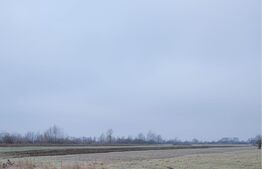 De vanzare teren intravilan - Bucureasa - Dănești 4796 mp