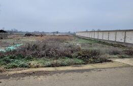 De vanzare teren intravilan - Bucureasa - Dănești 4796 mp