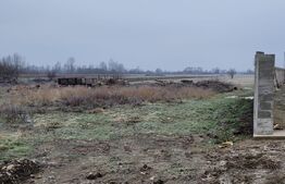 De vanzare teren intravilan - Bucureasa - Dănești 4796 mp