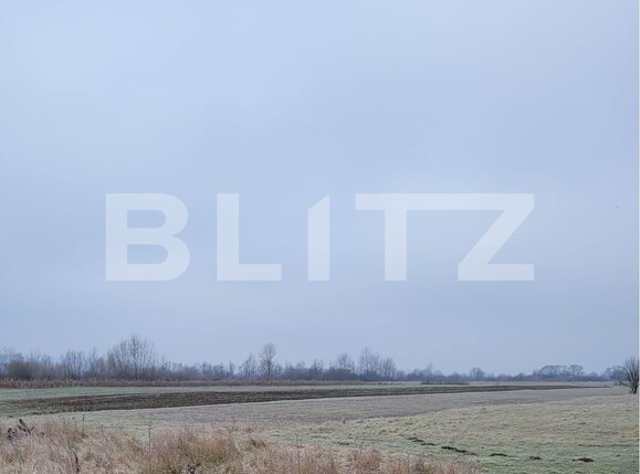 Teren de vânzare Sud Est - 105246TV | BLITZ Târgu Jiu | Poza5