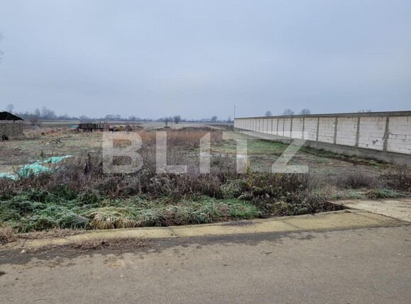 Teren de vânzare Sud Est - 105246TV | BLITZ Târgu Jiu | Poza2