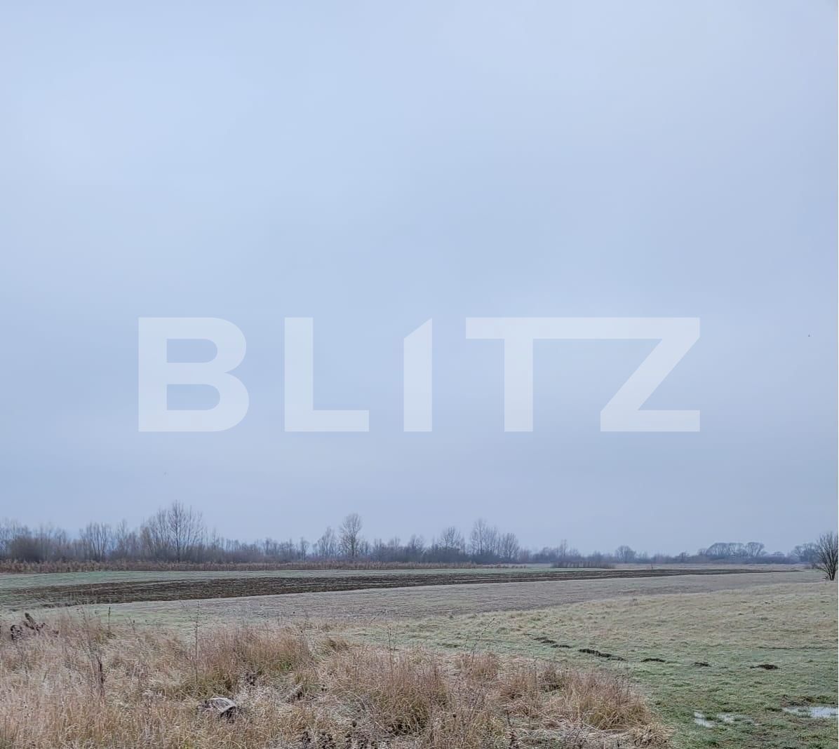 Teren de vânzare Sud Est - 105246TV | BLITZ Târgu Jiu | Poza5