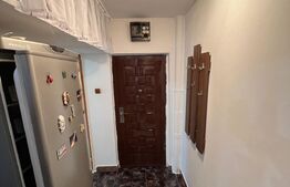 Apartament cu 2 camere, mobilat utilat, 41 mp, zona Teilor