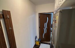 Apartament cu 2 camere, mobilat utilat, 41 mp, zona Teilor