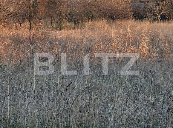 Teren de vânzare Exterior Vest - 105595TV | BLITZ Târgu Jiu | Poza2