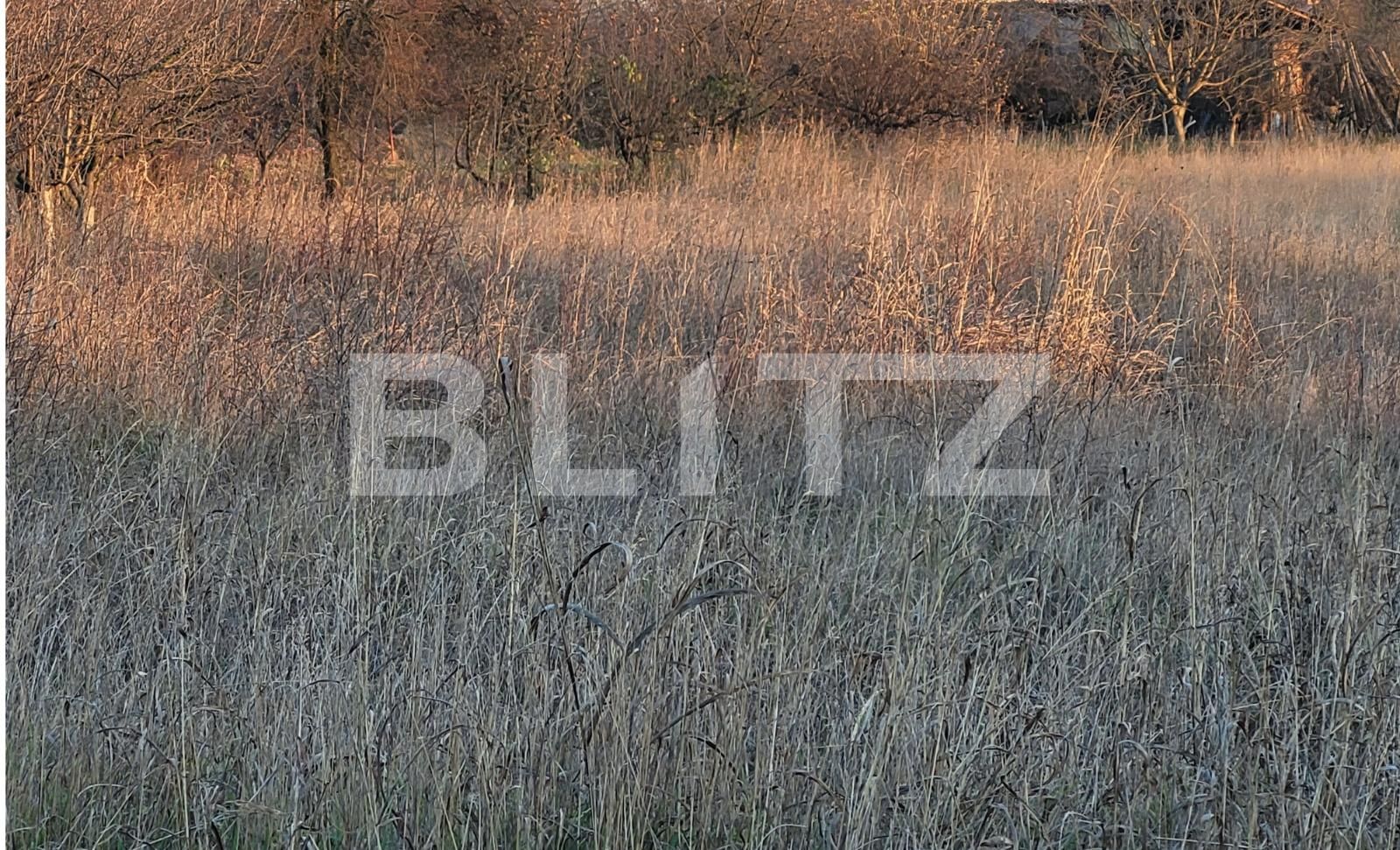 Teren de vânzare Exterior Vest - 105595TV | BLITZ Târgu Jiu | Poza2