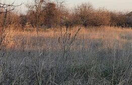 De vanzare casa si teren 1900 mp in Targu-JIU