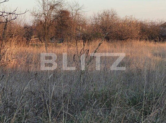 Casa de vânzare 3 camere Exterior Vest - 105650CV | BLITZ Târgu Jiu | Poza4