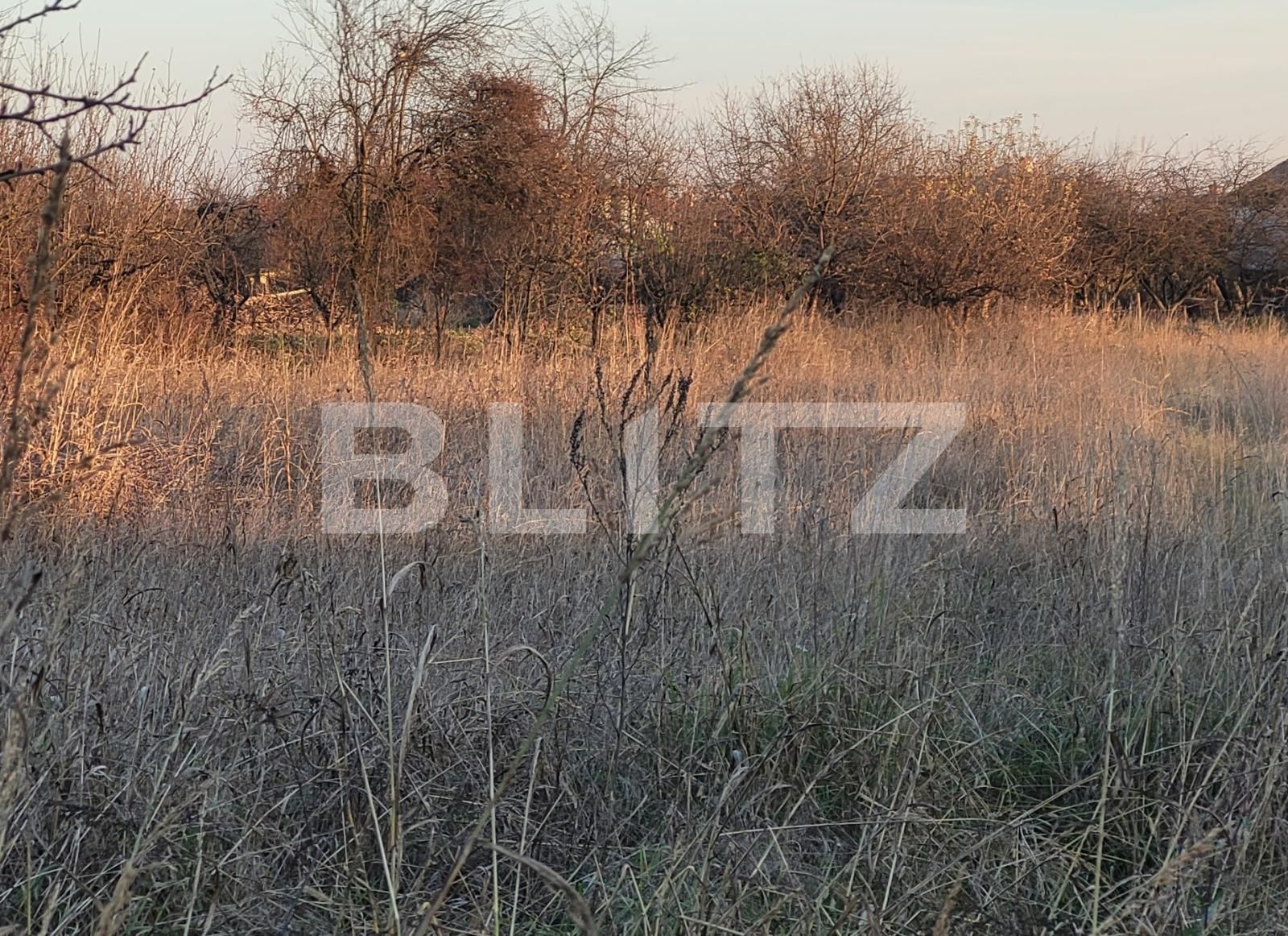 Casa de vânzare 3 camere Exterior Vest - 105650CV | BLITZ Târgu Jiu | Poza4