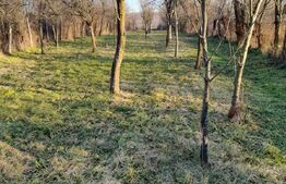 Casa P+M, in cartierul Iezureni