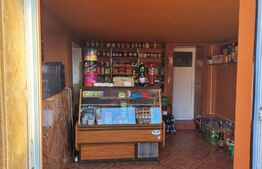 Casa P+M, in cartierul Iezureni