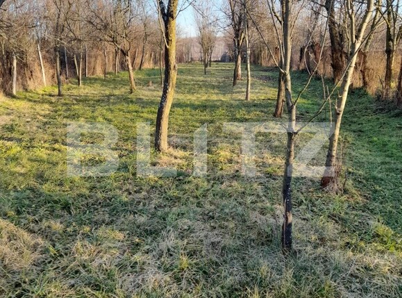 Casa de vânzare 3 camere Exterior Nord - 105874CV | BLITZ Târgu Jiu | Poza16