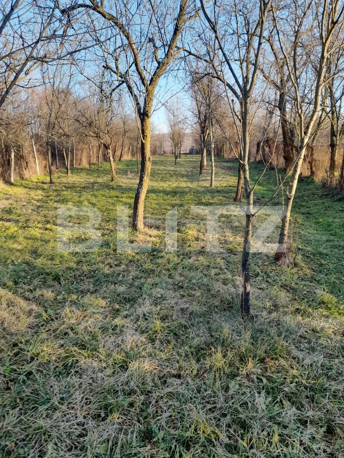 Casa de vânzare 3 camere Exterior Nord - 105874CV | BLITZ Târgu Jiu | Poza16