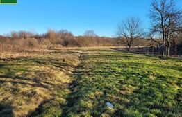 De vanzare teren 6200/21,5 m in zona Barsesti.