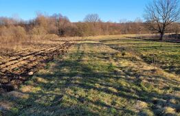 De vanzare teren 6200/21,5 m in zona Barsesti.