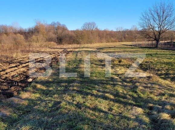 Teren de vânzare Bârsești - 105887TV | BLITZ Târgu Jiu | Poza2