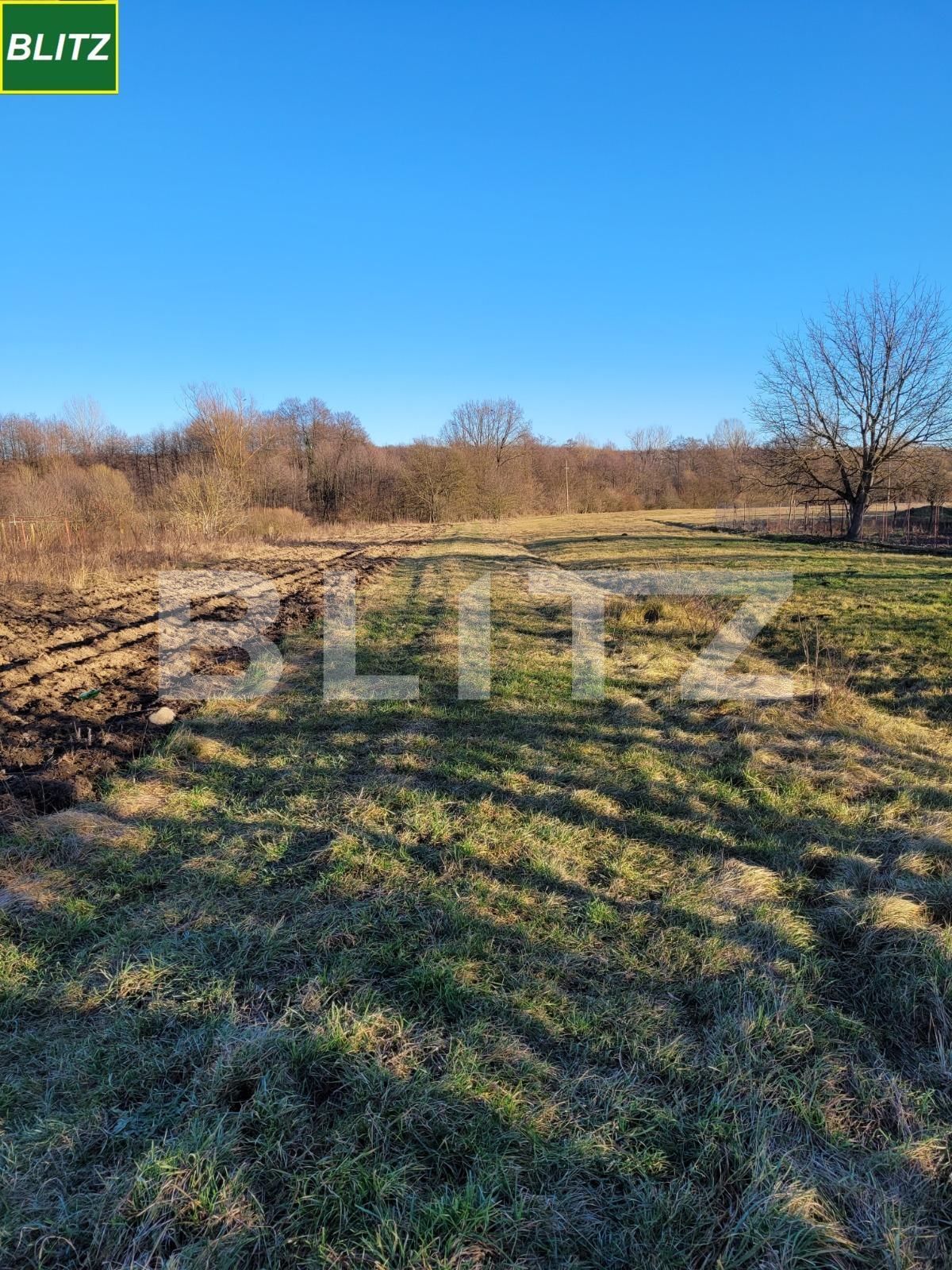 Teren de vânzare Bârsești - 105887TV | BLITZ Târgu Jiu | Poza2
