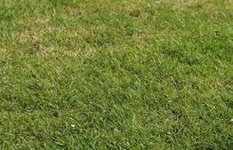 Ocazie! Teren, Lelești - 18000 euro.