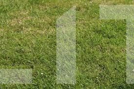 Teren de vânzare Exterior Vest - 105891TV | BLITZ Târgu Jiu | Poza2