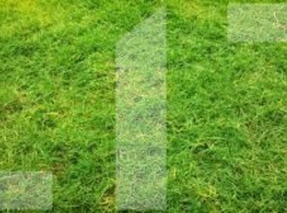 Teren de vânzare Nord Est - 105927TV | BLITZ Târgu Jiu | Poza1