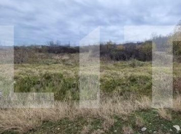 Teren de vânzare Vest - 105929TV | BLITZ Târgu Jiu | Poza1