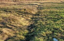 De vanzare teren Târgu - Jiu - Bârsești.