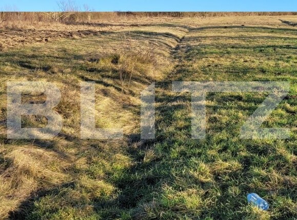 Teren de vânzare Bârsești - 105936TV | BLITZ Târgu Jiu | Poza1