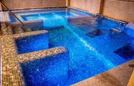 Pensiune turistica Baia de Fier