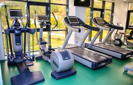 Pensiune turistica Baia de Fier