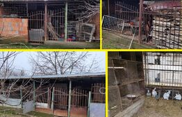 Spatiu comercial 98 mp + o Casă cu 8 camere, 325 mp utili și teren 3186 mp