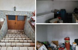 Spatiu comercial 98 mp + o Casă cu 8 camere, 325 mp utili și teren 3186 mp