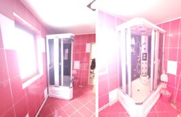 Spatiu comercial 98 mp + o Casă cu 8 camere, 325 mp utili și teren 3186 mp