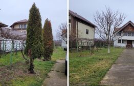 Spatiu comercial 98 mp + o Casă cu 8 camere, 325 mp utili și teren 3186 mp