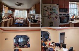 Spatiu comercial 98 mp + o Casă cu 8 camere, 325 mp utili și teren 3186 mp