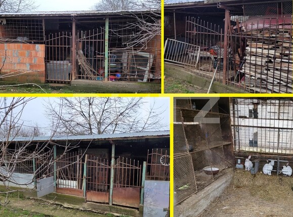 Casa de vânzare 8 camere Vest - 107463CV | BLITZ Târgu Jiu | Poza17