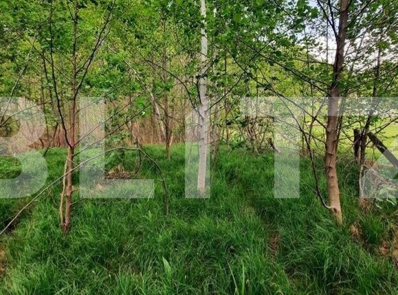 Casa de vânzare 4 camere Nord Est - 107589CV | BLITZ Târgu Jiu | Poza10